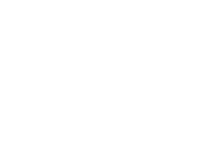 LogoPago46